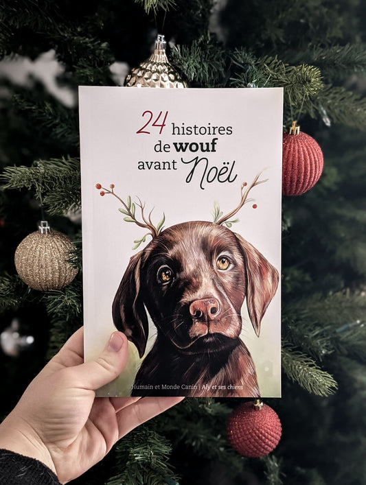 24 histoires de WOUF avant Noël 🎄 — Tome 2.